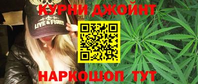 сатива Абакан