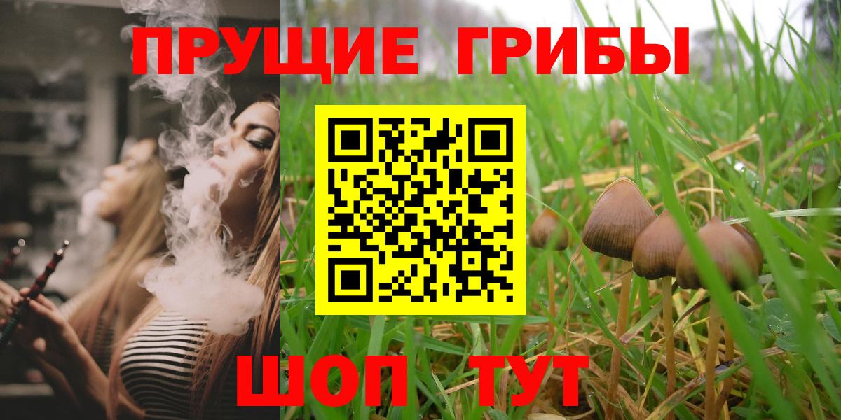 Псилоцибиновые грибы Psilocybine cubensis Алексеевка