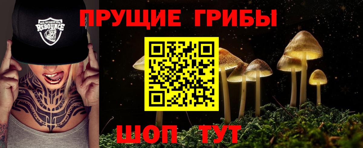 Алексеевка  Псилоцибиновые грибы GOLDEN TEACHER  Вход с VPN 